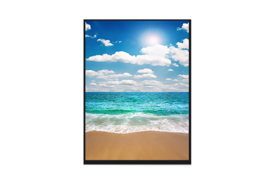 10.1-inch LCD screen