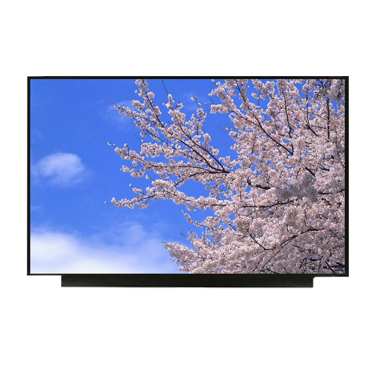 Innolux 13.3-inch industrial display