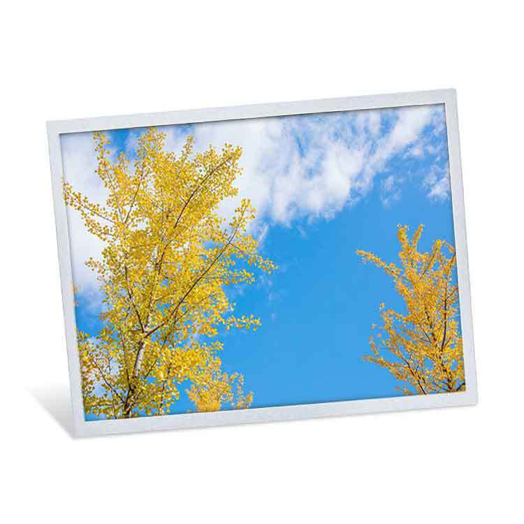 Boe 15-inch industrial display