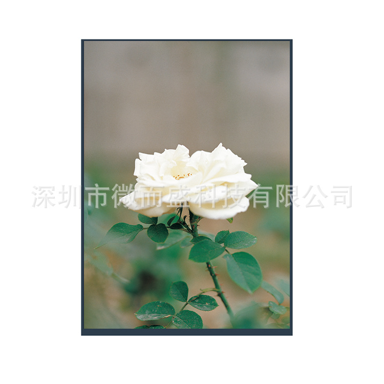 Boe 7-inch tft LCD screen