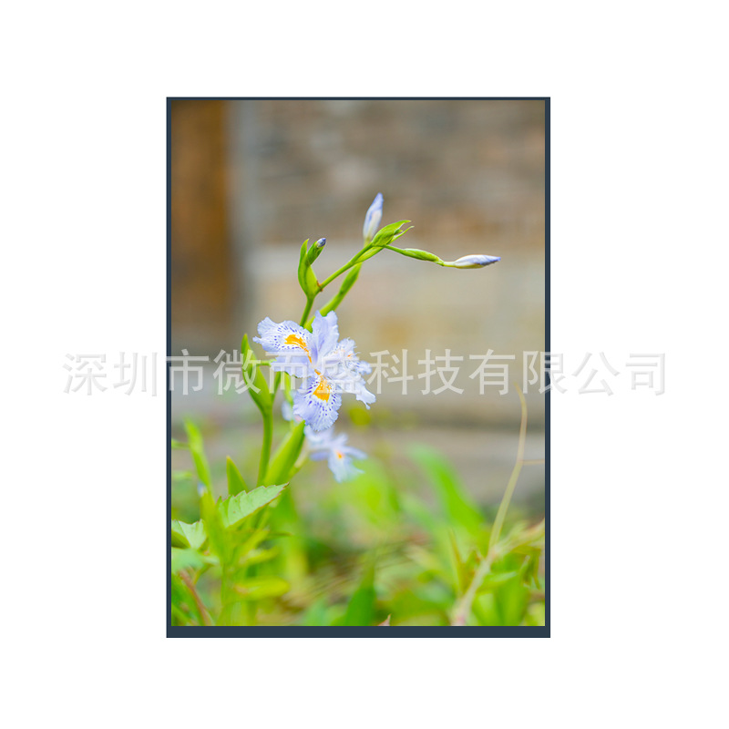 Boe 10.1-inch tft LCD screen