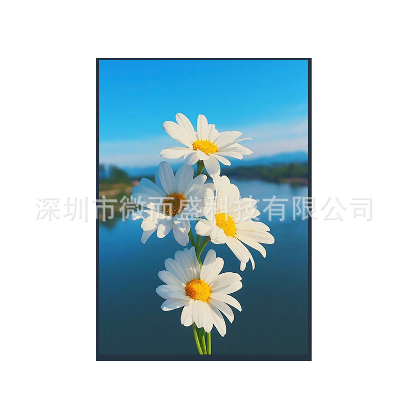 Boe 10.1-inch tft LCD screen
