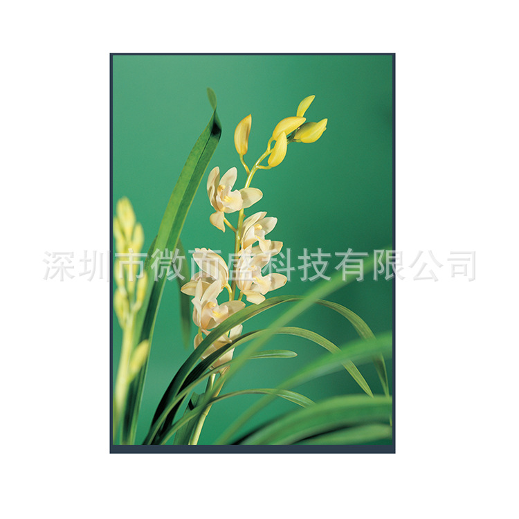 Boe 7-inch tft LCD screen