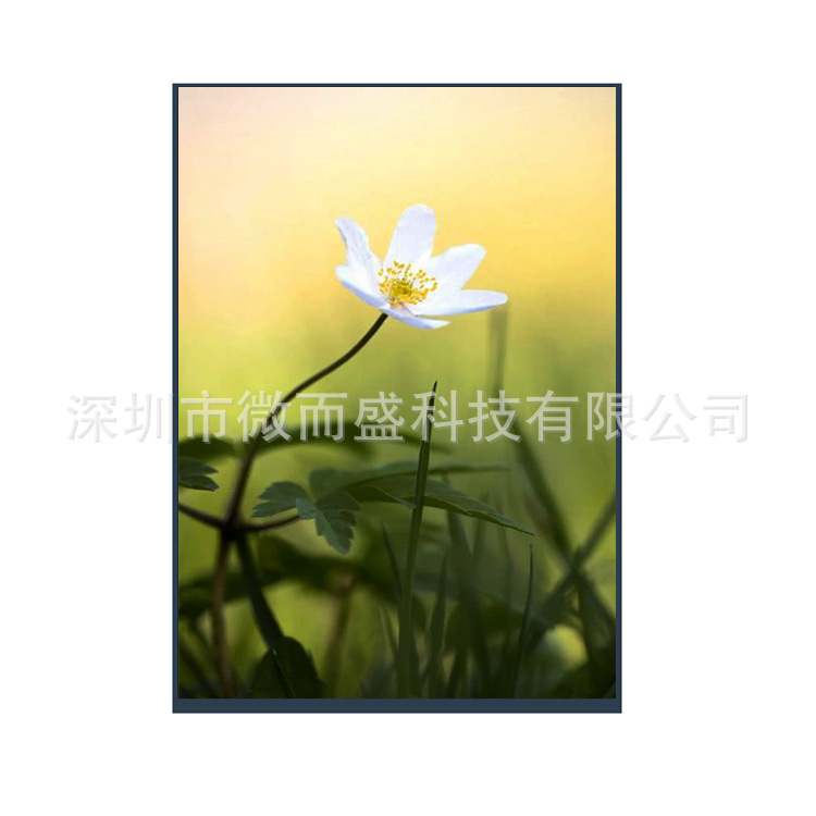 Boe 10.1-inch tft LCD screen