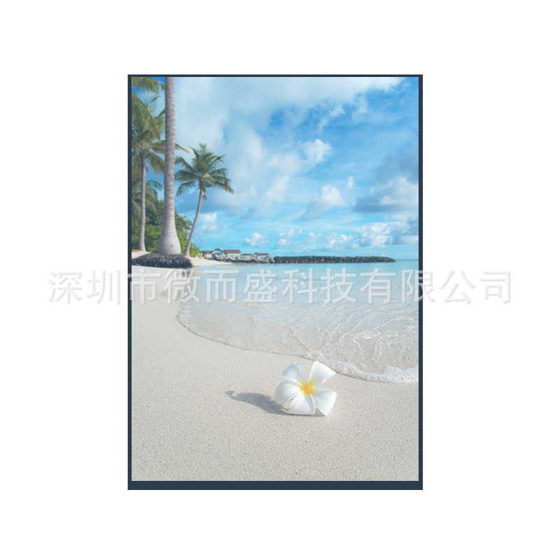 Boe 10.1-inch tft LCD screen