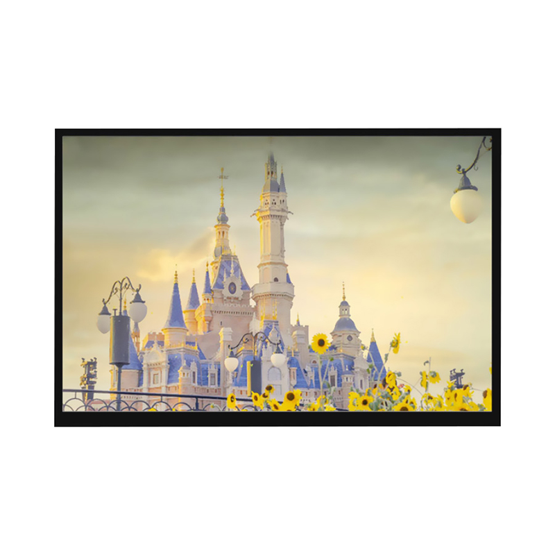 10.1-inch industrial display screen